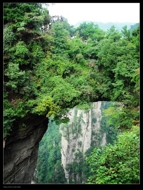 DSCF0193