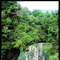 DSCF0193