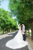 婚纱照12