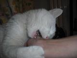 DSCF0087