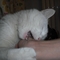 DSCF0087