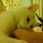 我们家猫