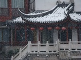 DSC00600