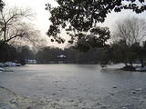 西湖雪景1