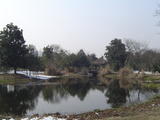 新西湖9