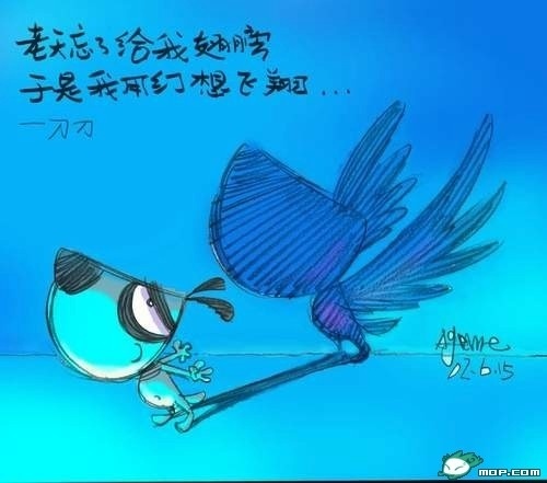 刀刀4