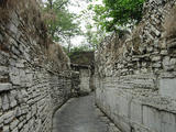 DSCN4153