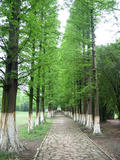 DSCN4201