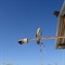 DSCN2031