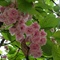 DSCN4198