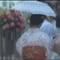 黑蔷薇升天[(029343)03-16-09]
