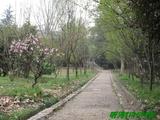 山间小路