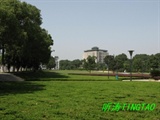 生科院绿地