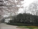 仿佛是教2