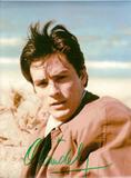 alain-delon