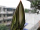 R0016497