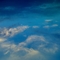 20052009513