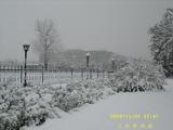 雪景1