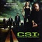 CSI LV