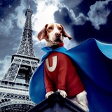und_dog2