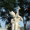 DSC08636