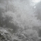 shandong 123