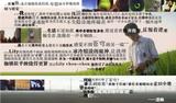 命名4