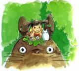 龙猫