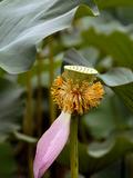 脱胎换骨