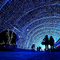 tip_ny_1217_01
