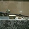 DSCI0074