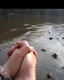 hands