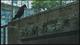 KMP-DVD[(000176)21-15-04]