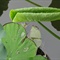 我拍荷 2