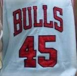 BULLS 45