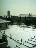 09年2月雪后北大_02
