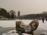 09年2月雪后北大_27