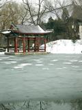 09年2月雪后北大_12