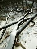 09年2月雪后北大_04
