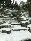 09年2月雪后北大_05