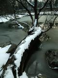 09年2月雪后北大_14
