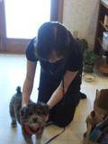 小狗