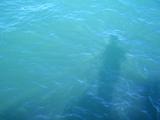 我和Lake Michigan