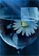 p_large_yRyP_41e9000472b62d13