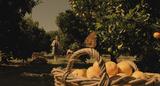 [坠入].The.Fall.2006.Blu-ray.720p.AC3-CHD[23-37-04]