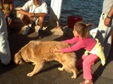 Turkey 008