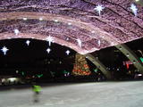 Skating in front of City Hall