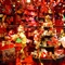 The Bay s Window - X mas  07