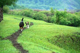 Img257712433