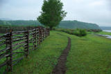 Img257712414